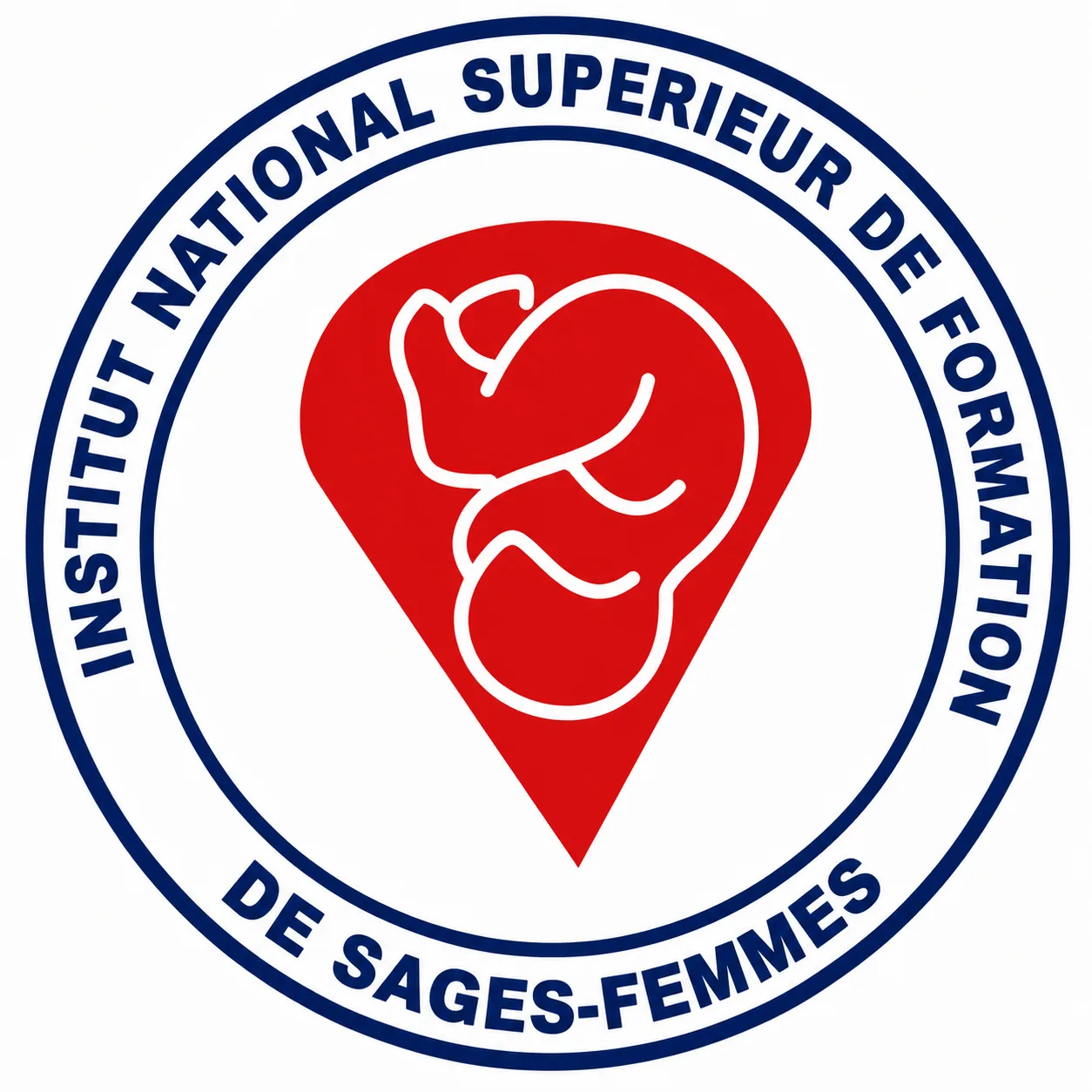 Logo INSFSF